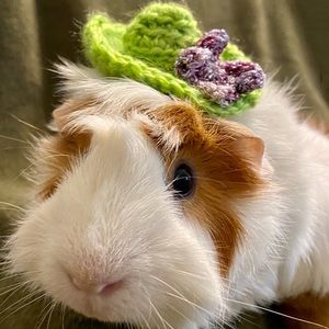 Meet your Posher, Jen